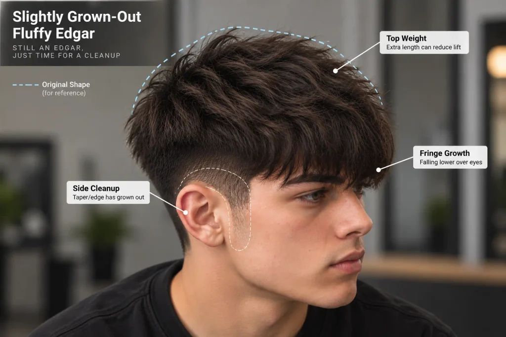 Fluffy Edgar haircut maintenance showing fringe growth, excess top weight and side cleanup areas
